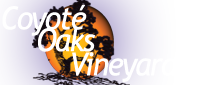 Coyoté Oaks Vineyard