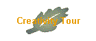 Creativity Tour