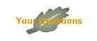 Your Questions