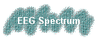 EEG Spectrum