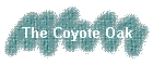 The Coyote Oak